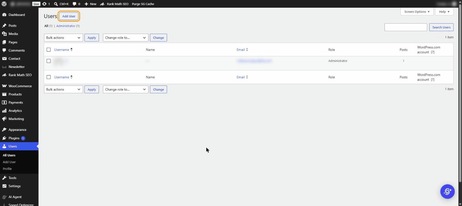 WordPress Users screen with the Add New User button highlighted